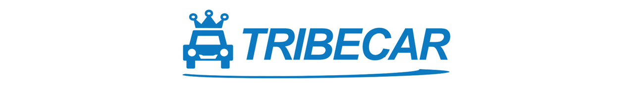 Tribecar - Car Sharing Operator in Singapore